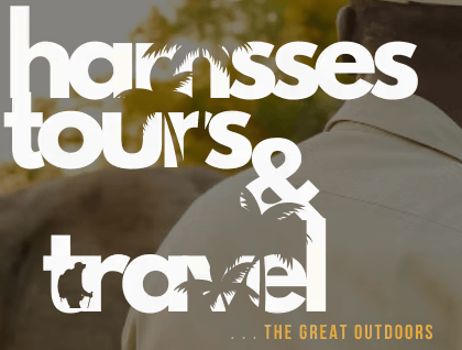 hamsses tours and travel logo